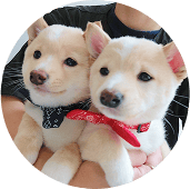 サービスや施設風景