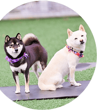 サービスや施設風景