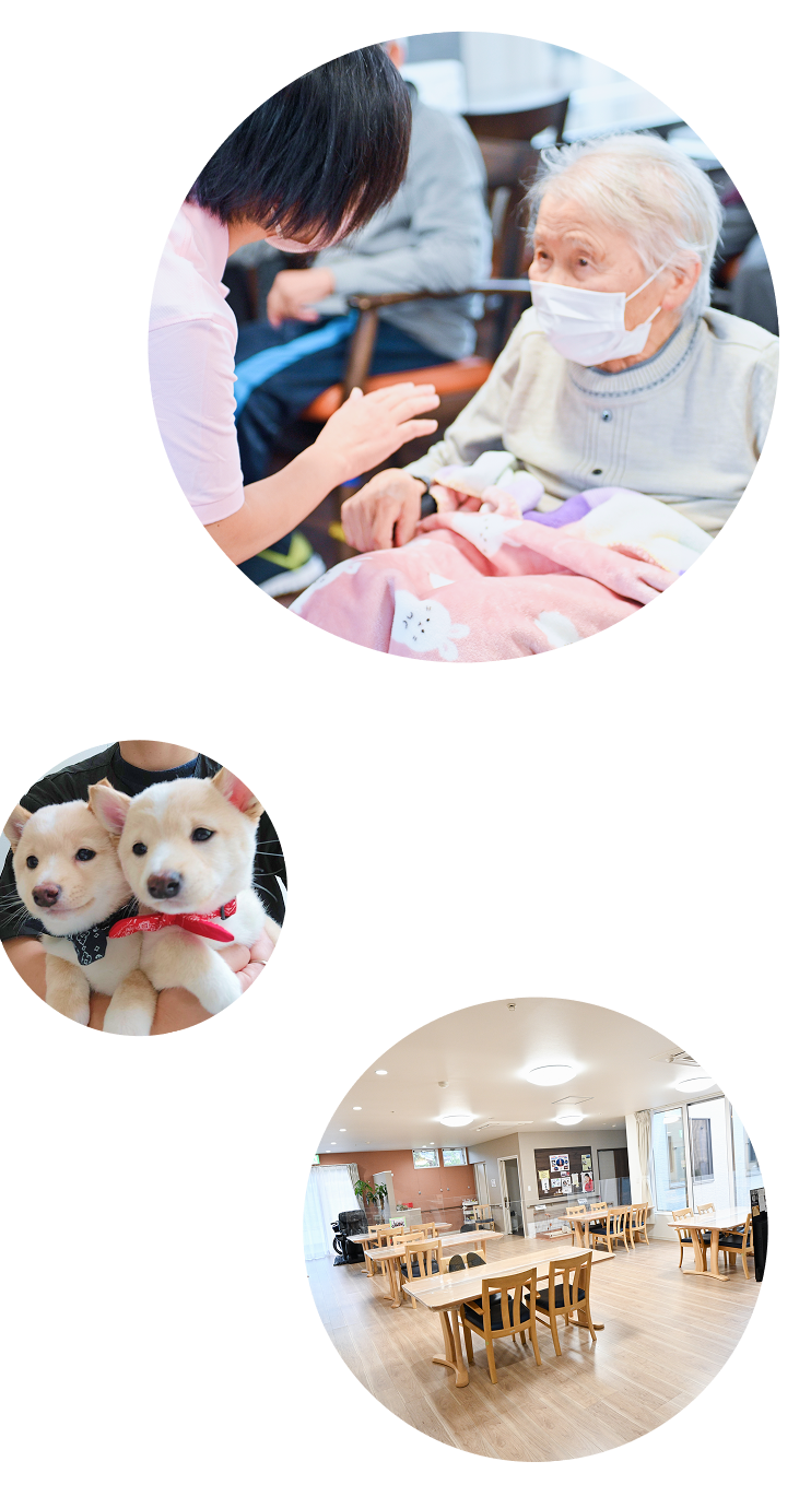 サービスや施設風景