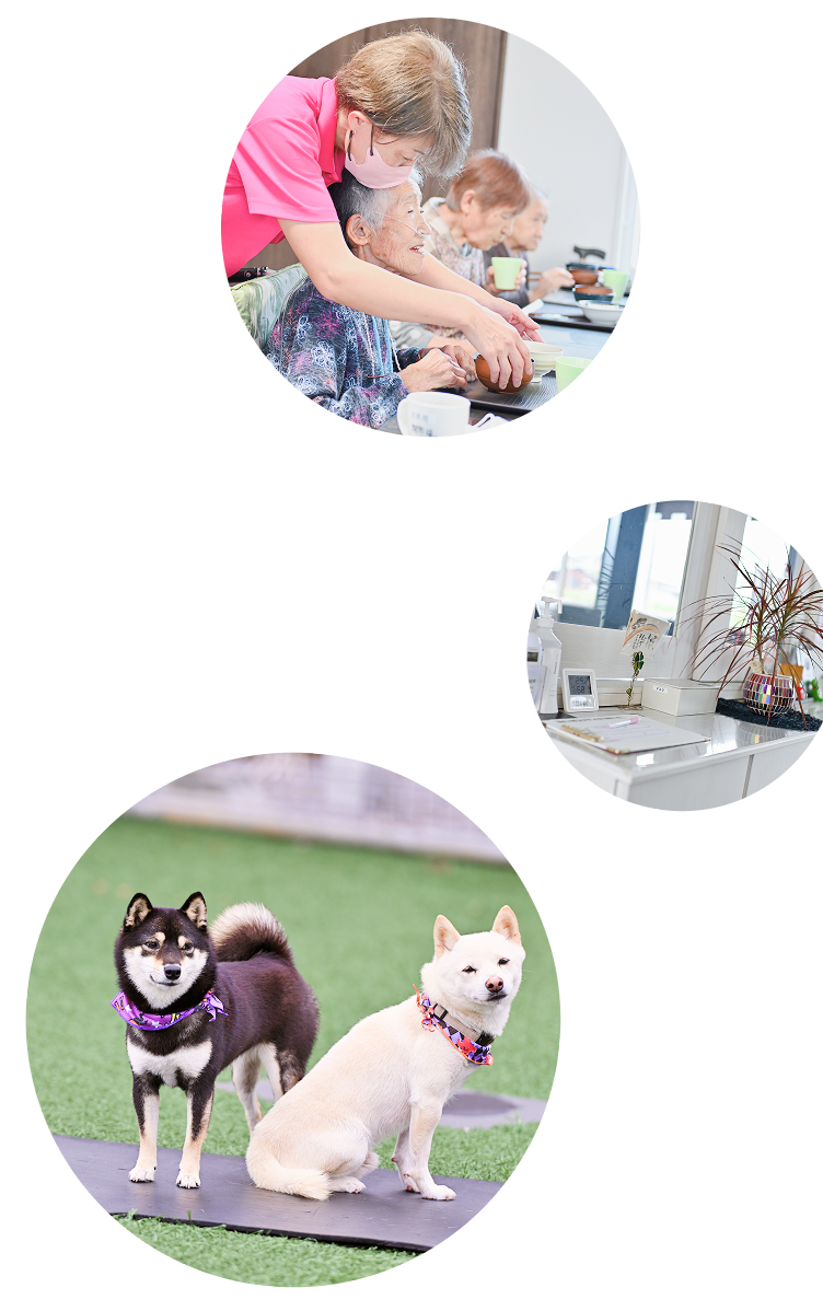 サービスや施設風景